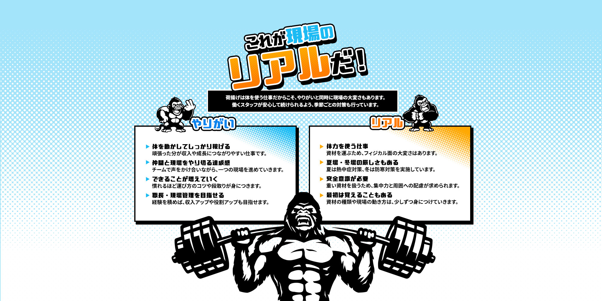 content_03_bg